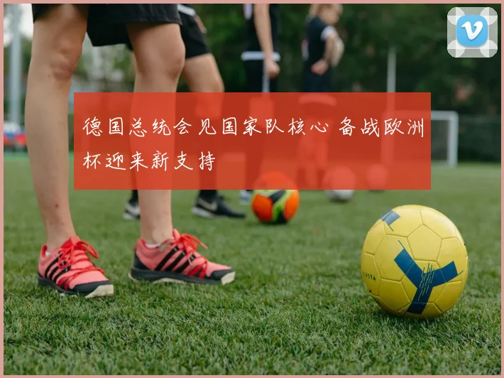 德国总统会见国家队核心 备战欧洲杯迎来新支持